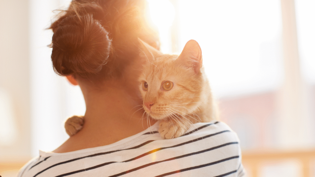 cat hugging