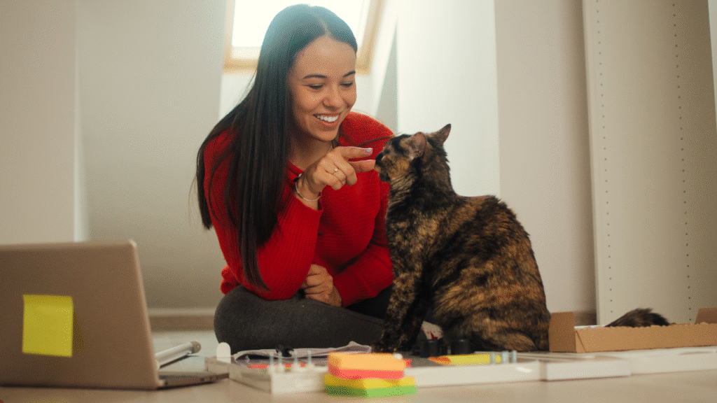 cat playing