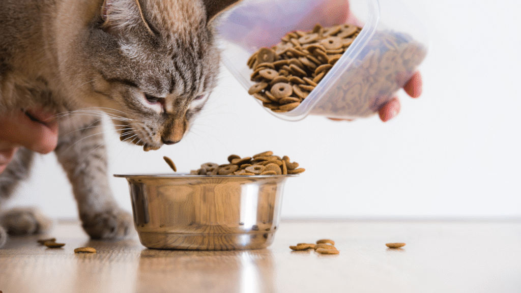 Best grain-free cat food