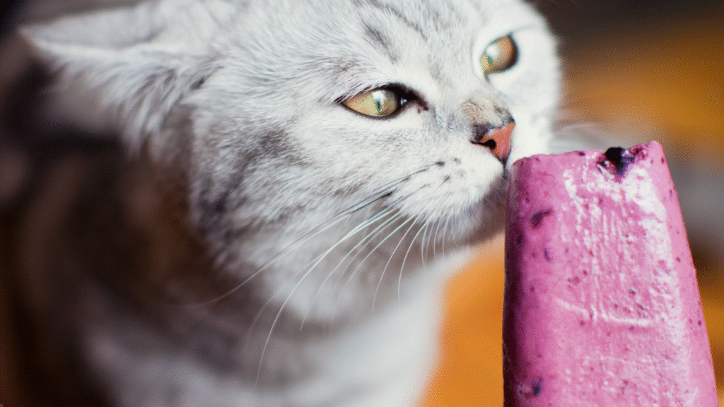 cat food