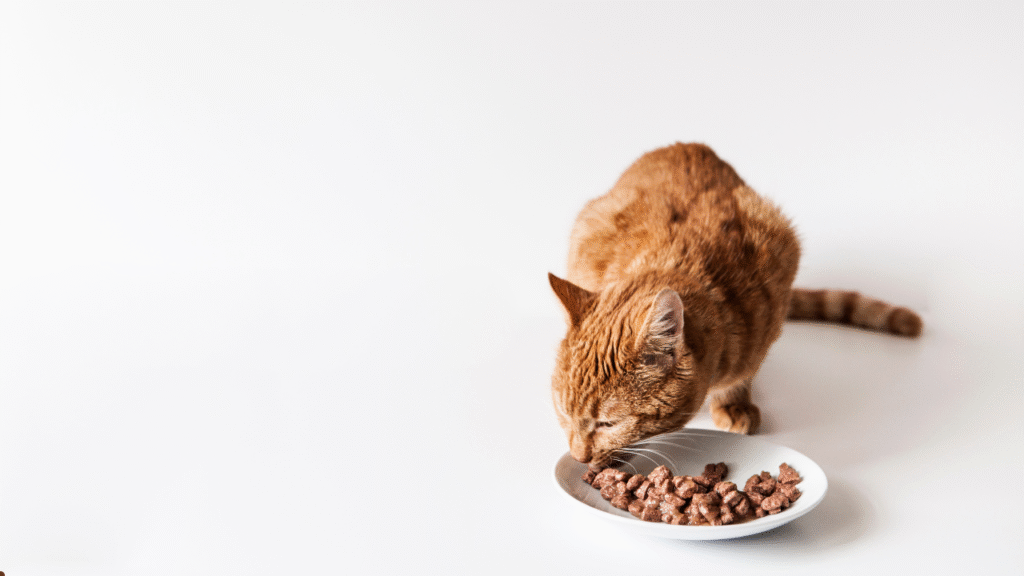 nutrisource cat food