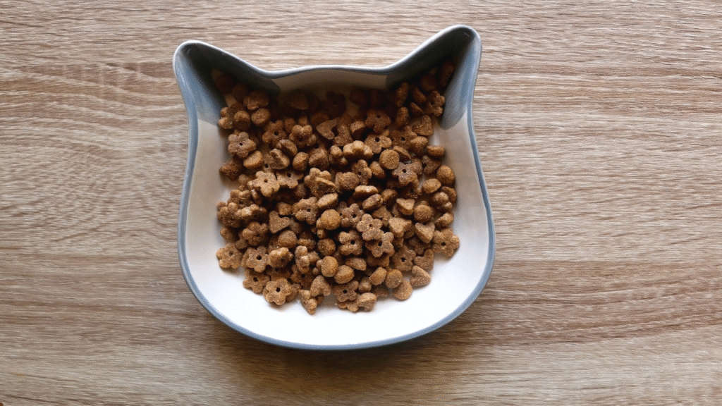 soft dry cat food