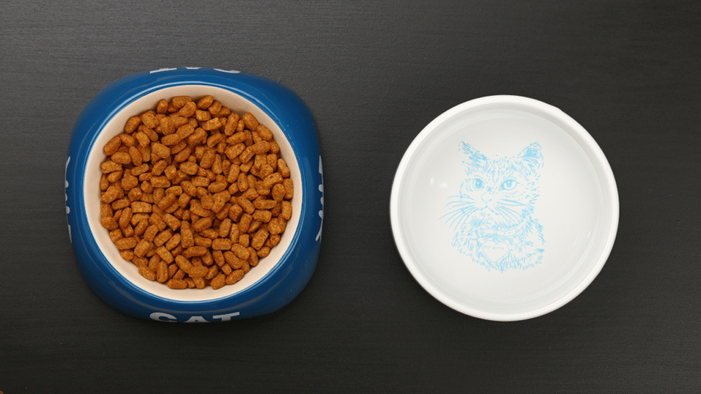 rawz cat food