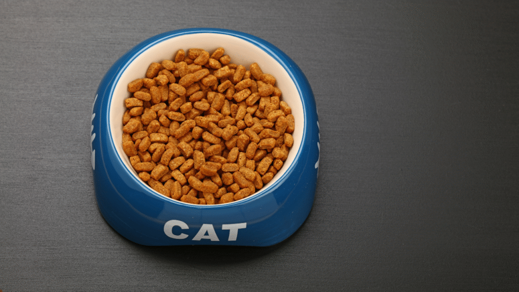 cat food