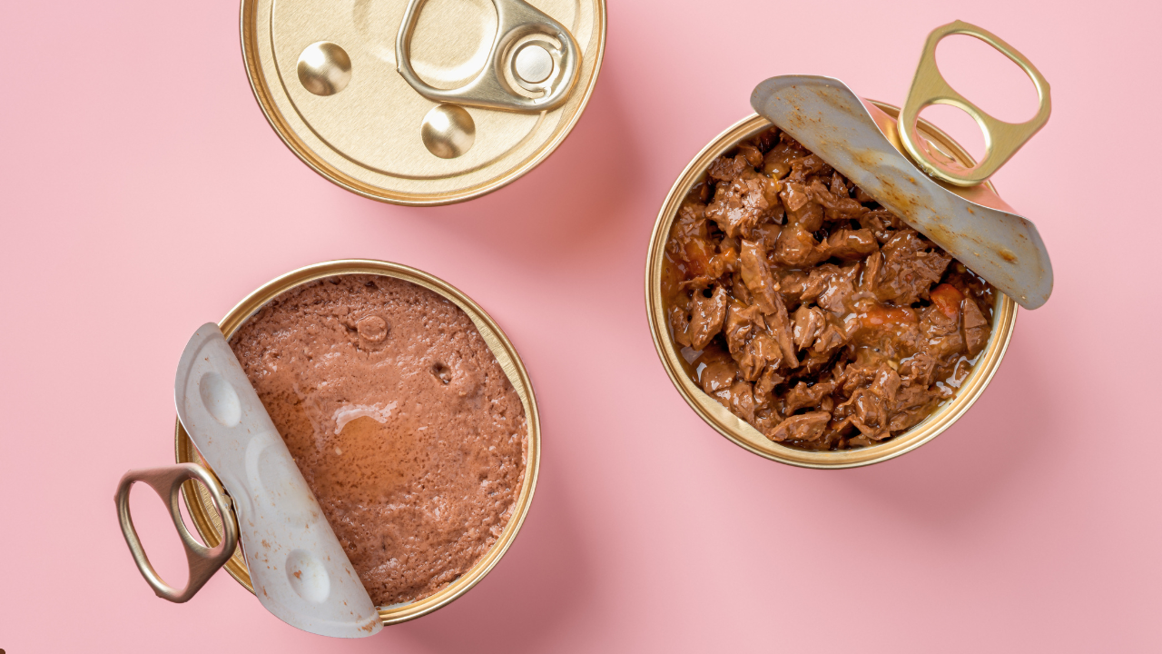 wet canned cat food
